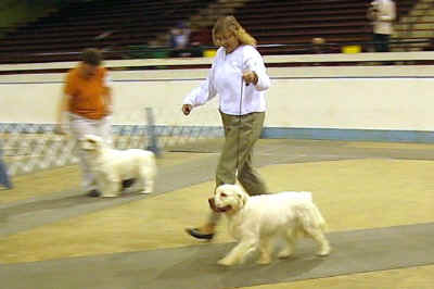 102508 081_0001mlk.jpg (38736 bytes)